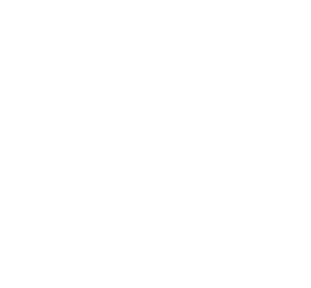 Domia